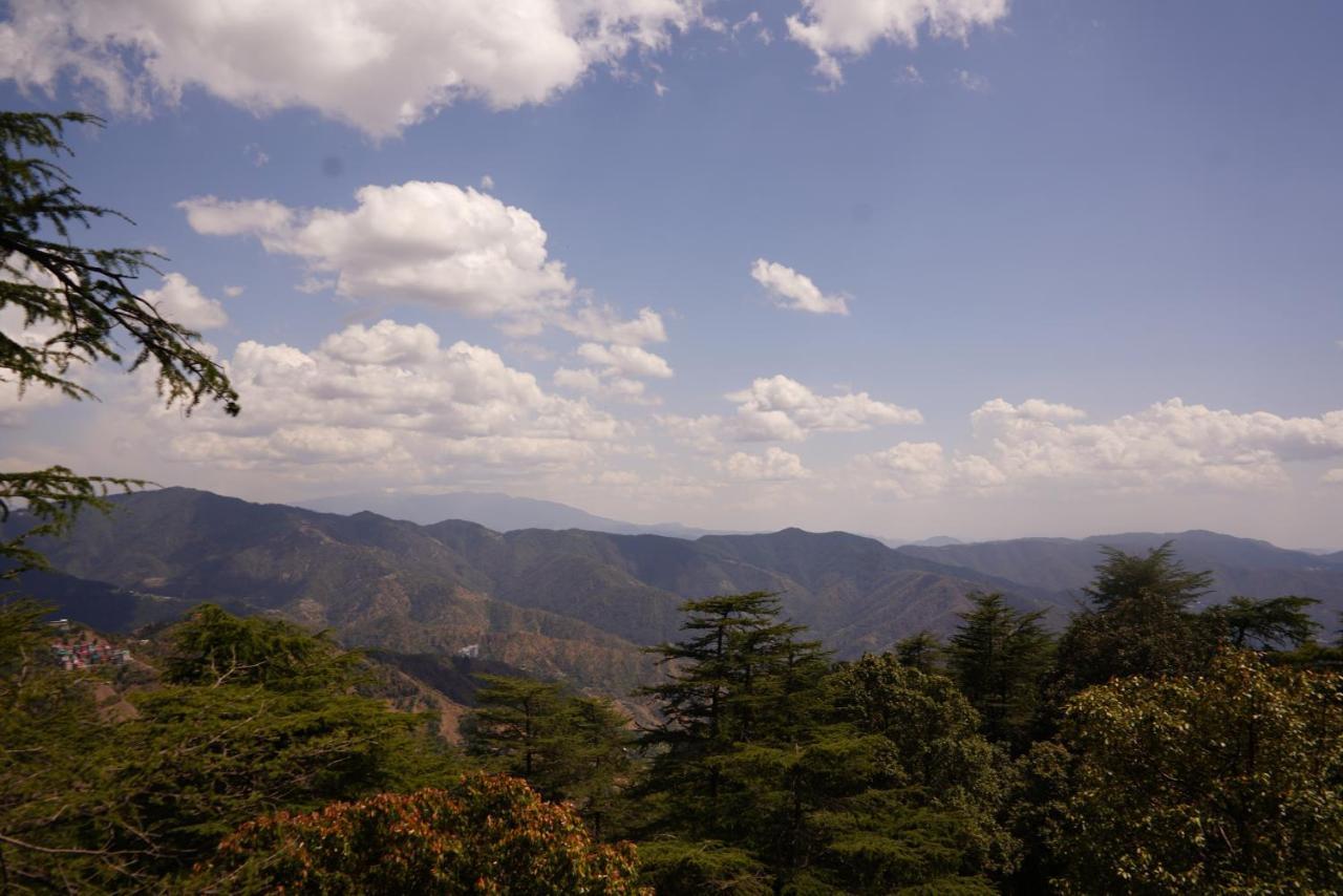 Jakhu Vibes Shimla Exterior photo