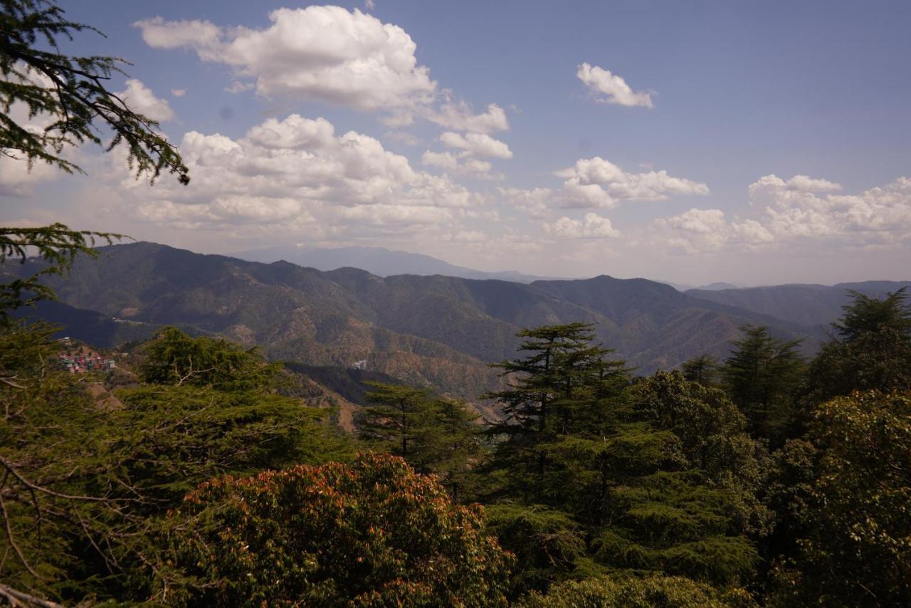 Jakhu Vibes Shimla Exterior photo