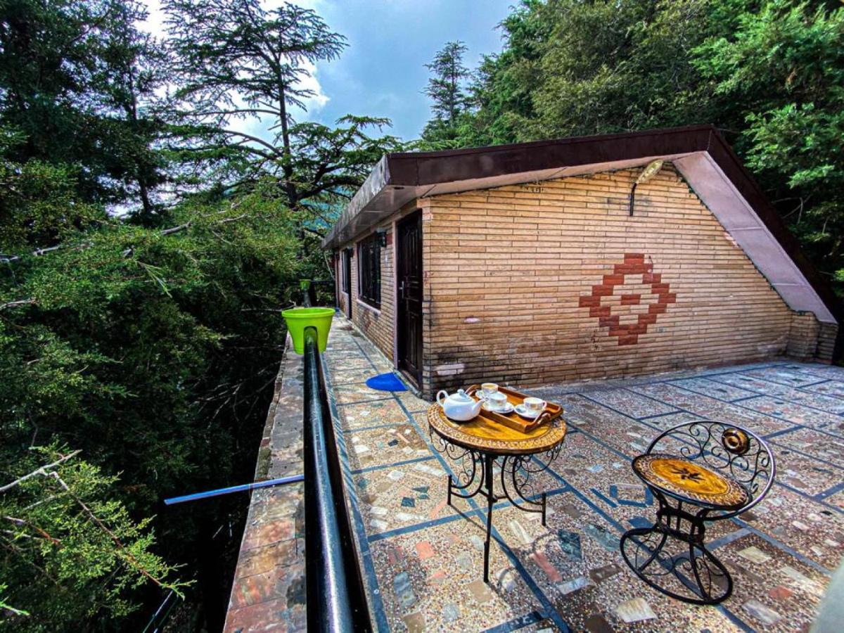 Jakhu Vibes Shimla Exterior photo