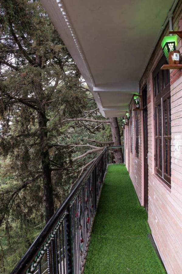Jakhu Vibes Shimla Exterior photo