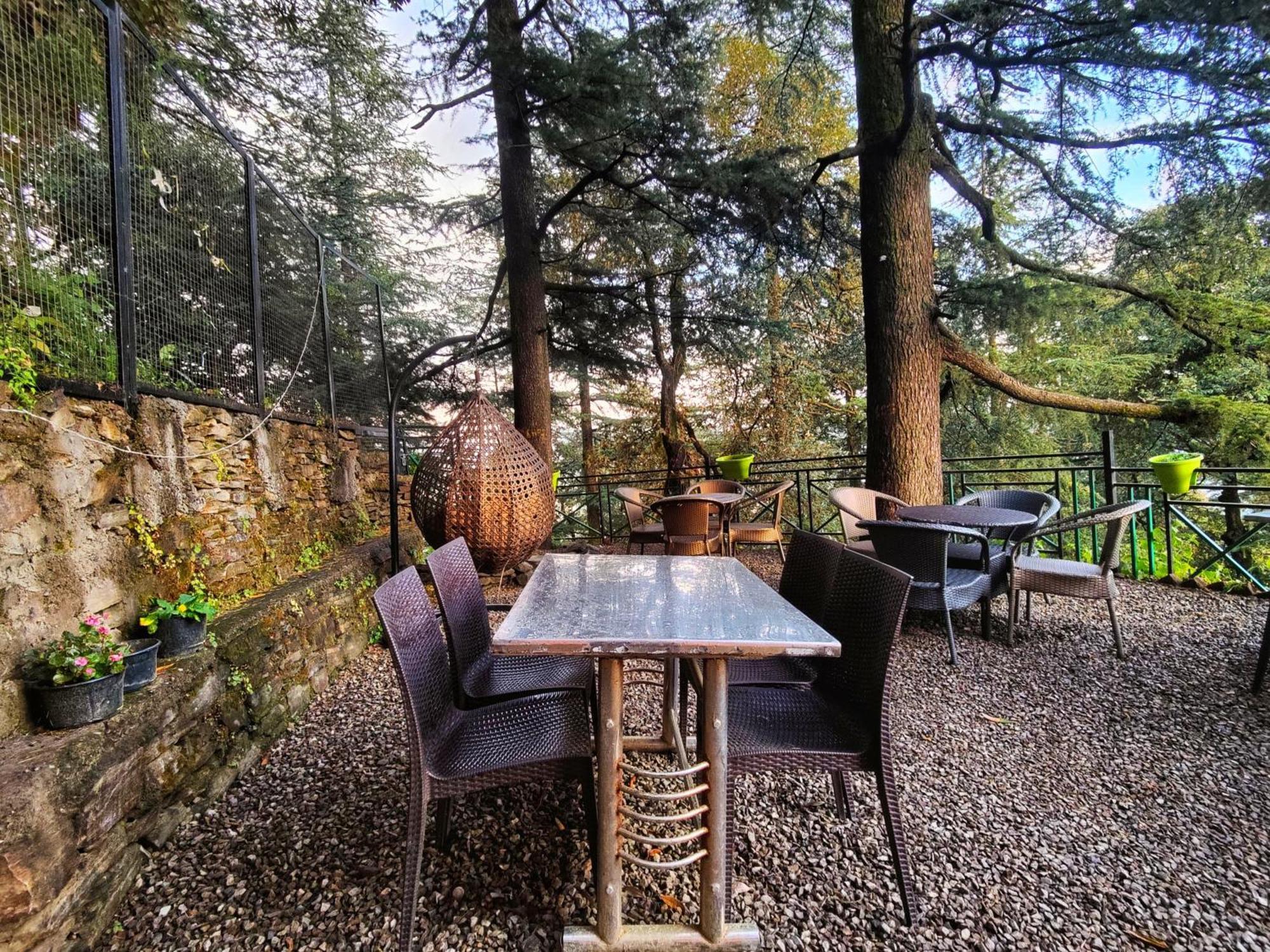 Jakhu Vibes Shimla Exterior photo