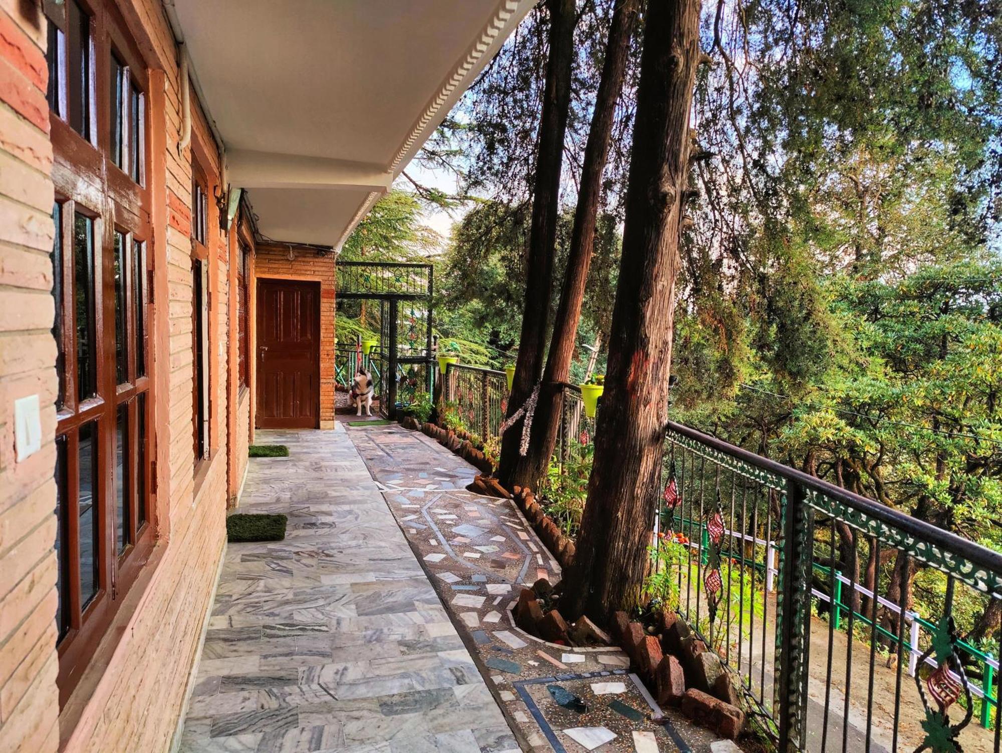 Jakhu Vibes Shimla Exterior photo