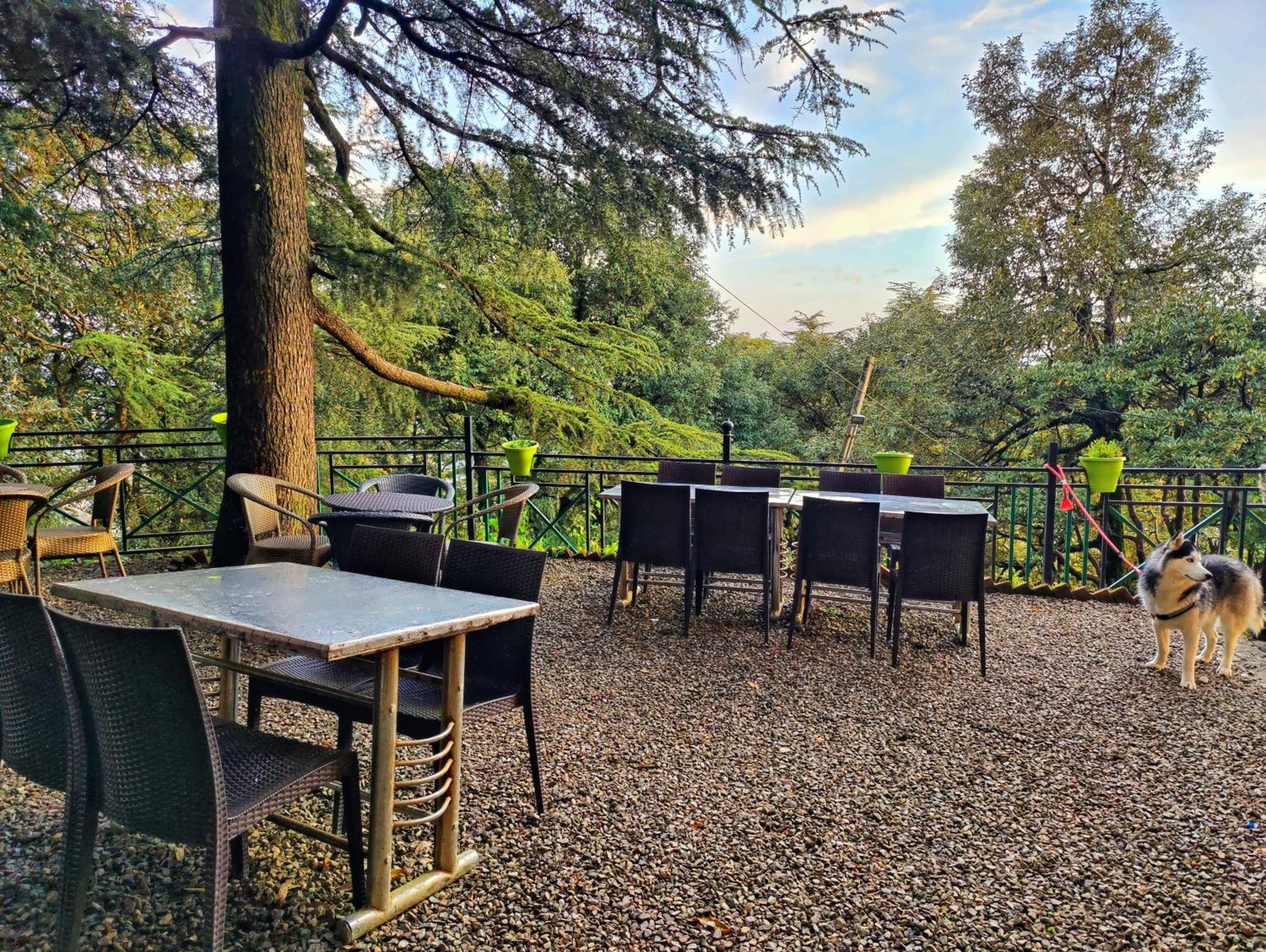 Jakhu Vibes Shimla Exterior photo